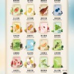 🧸𝕀𝕃𝕀𝔸 五代煙彈🧸(買四盒送一機 顏色隨機)